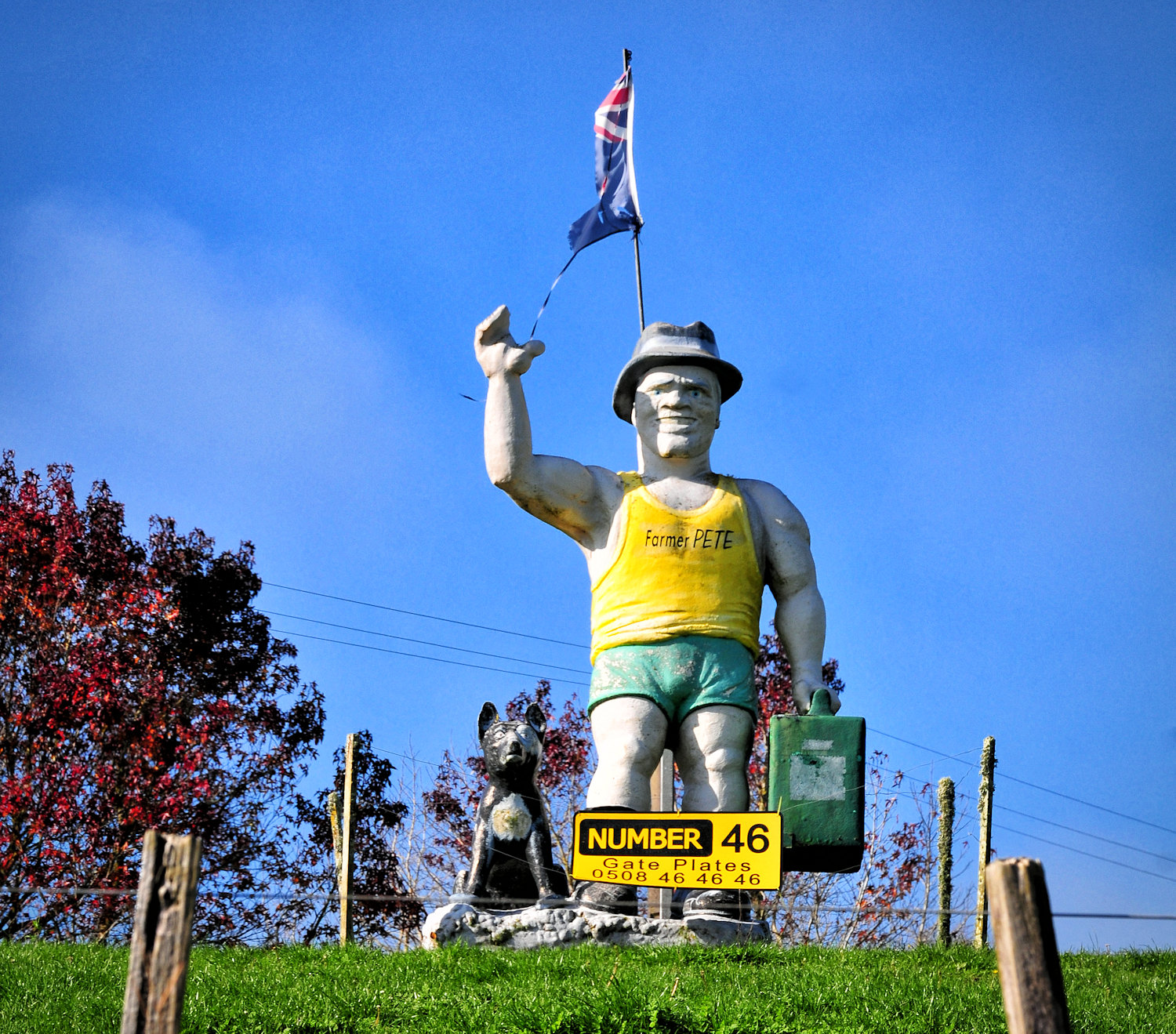 Un viaggio in Nuova Zelanda: verso Rotorua - 4