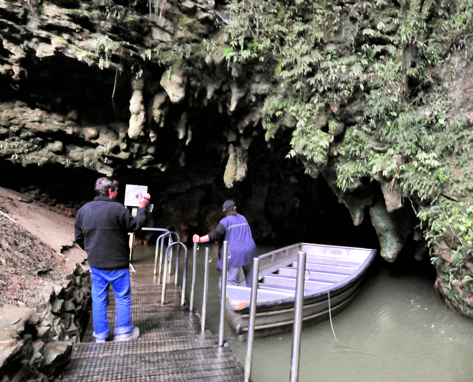 Un viaggio in Nuova Zelanda: verso Rotorua - 4