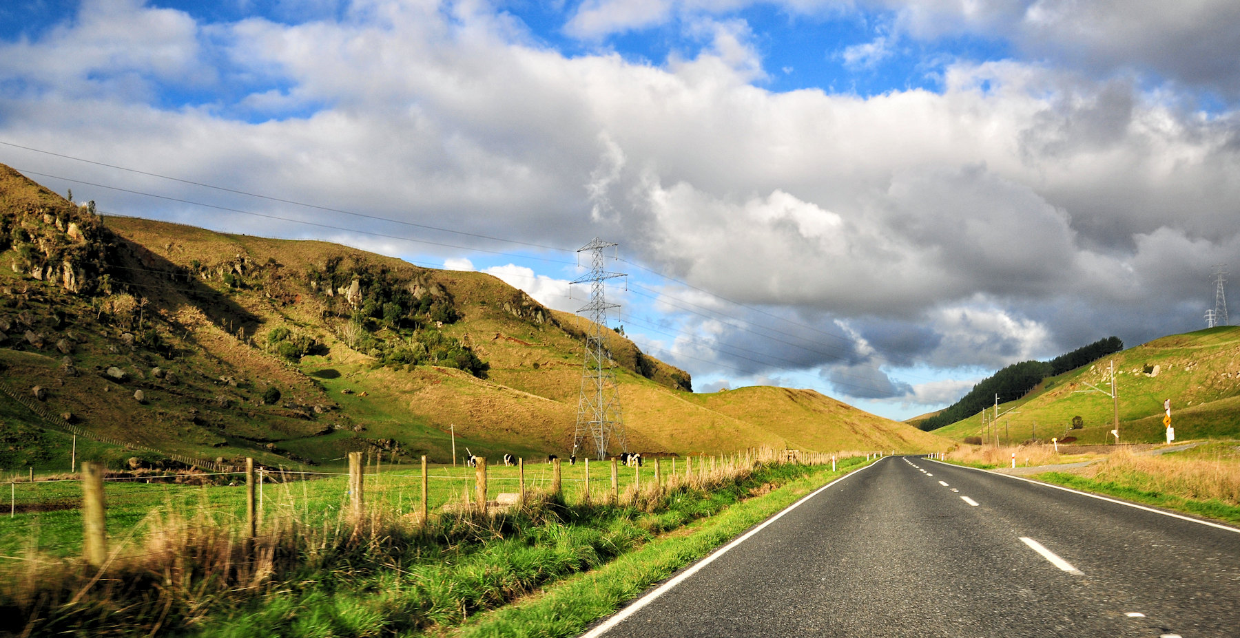 Un viaggio in Nuova Zelanda: verso Rotorua - 4