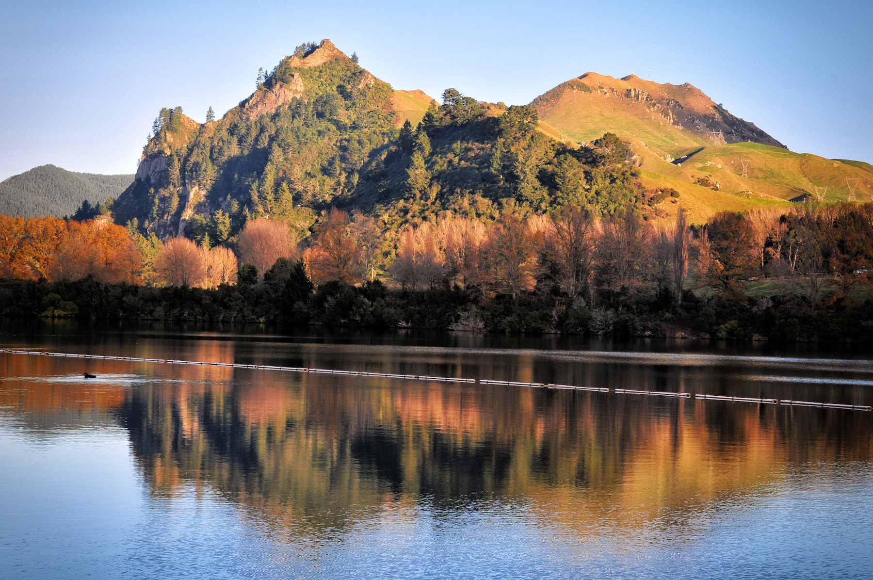 Un viaggio in Nuova Zelanda: verso Rotorua - 4