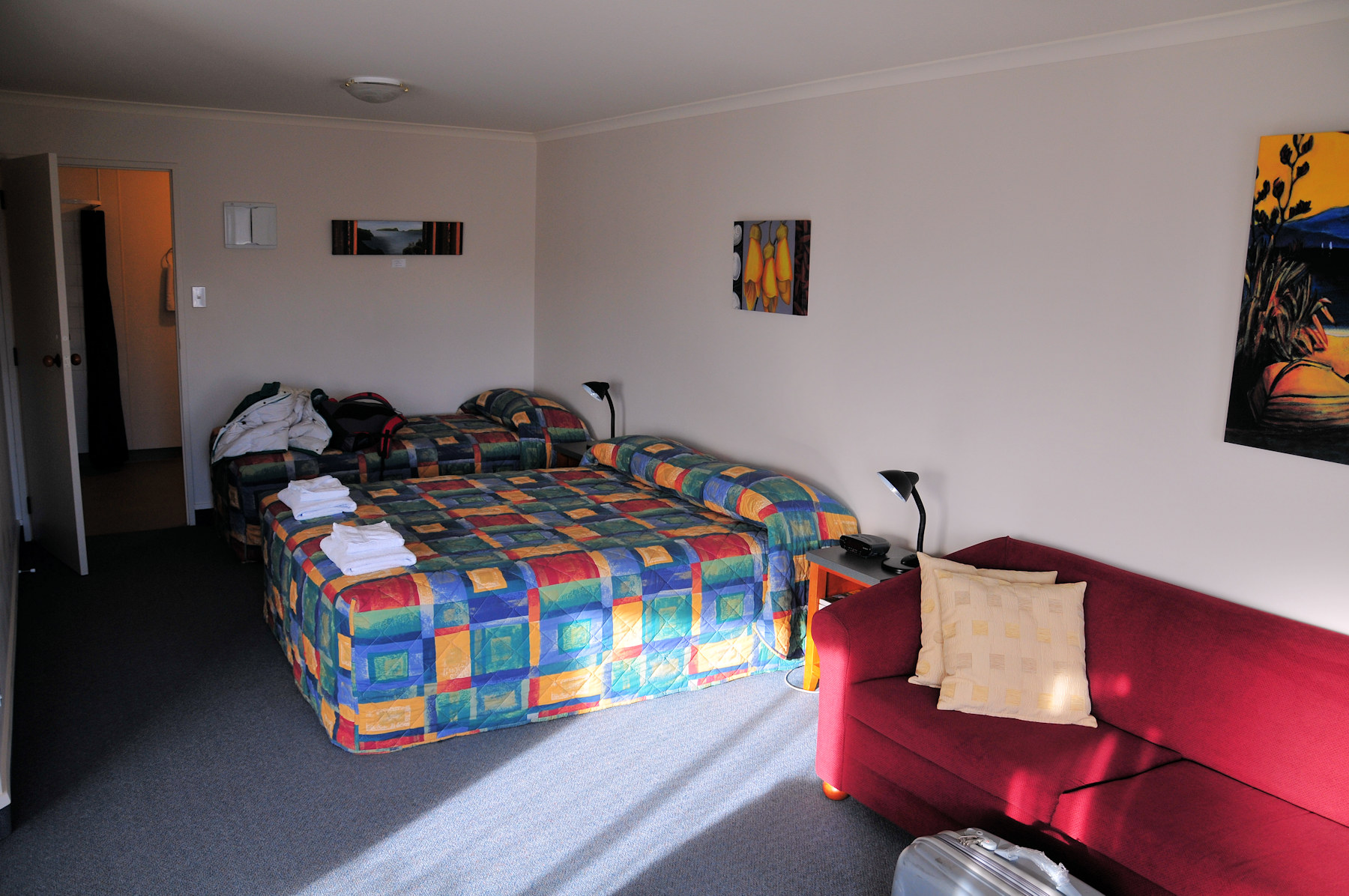 Birdwatching a Stewart Island - Viaggio in Nuova Zelanda #11