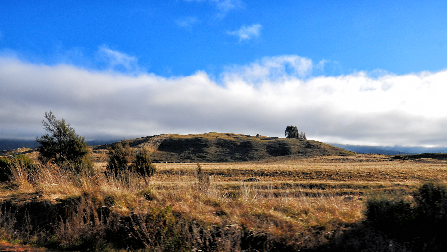 Albe, aerei, lagune e montagne - Viaggio in Nuova Zelanda #12