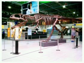 Dinosauro visto all'aeroporto Sandro Pertini di
