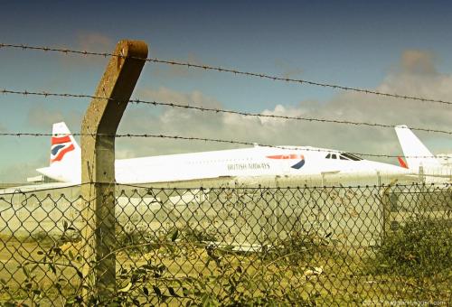 Dei venti BAC/Aérospatiale Concorde costruiti,