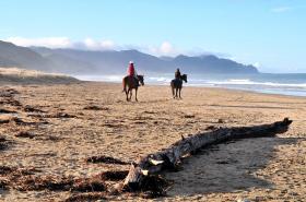 Cavalli in spiaggia a Ocean Bay, NZ