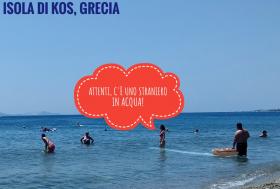 Andare in vacanza in Grecia, sull'isola di Kos,